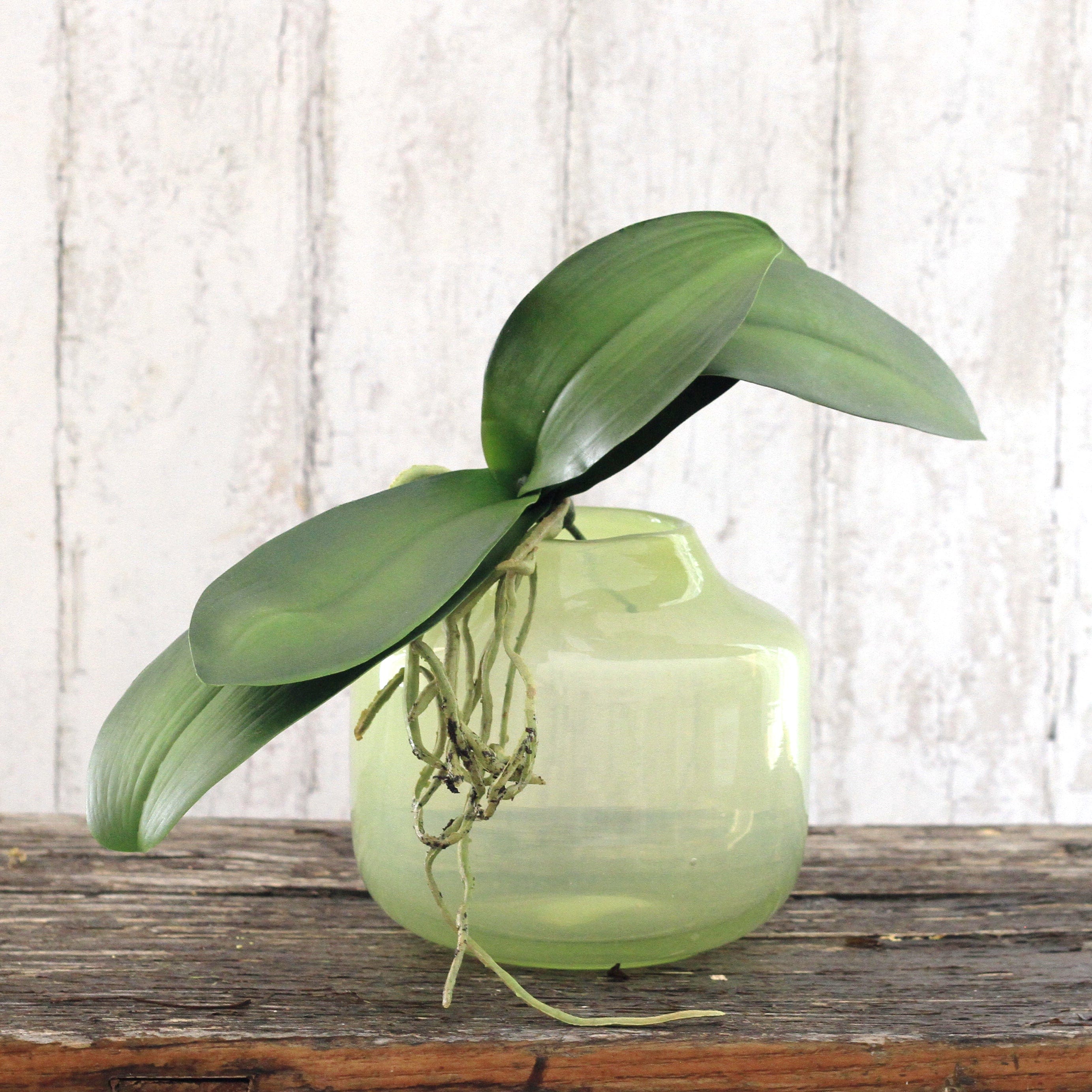 artificial orchid leaves & roots realistic faux orchid  online from Amaranthine Blooms UK