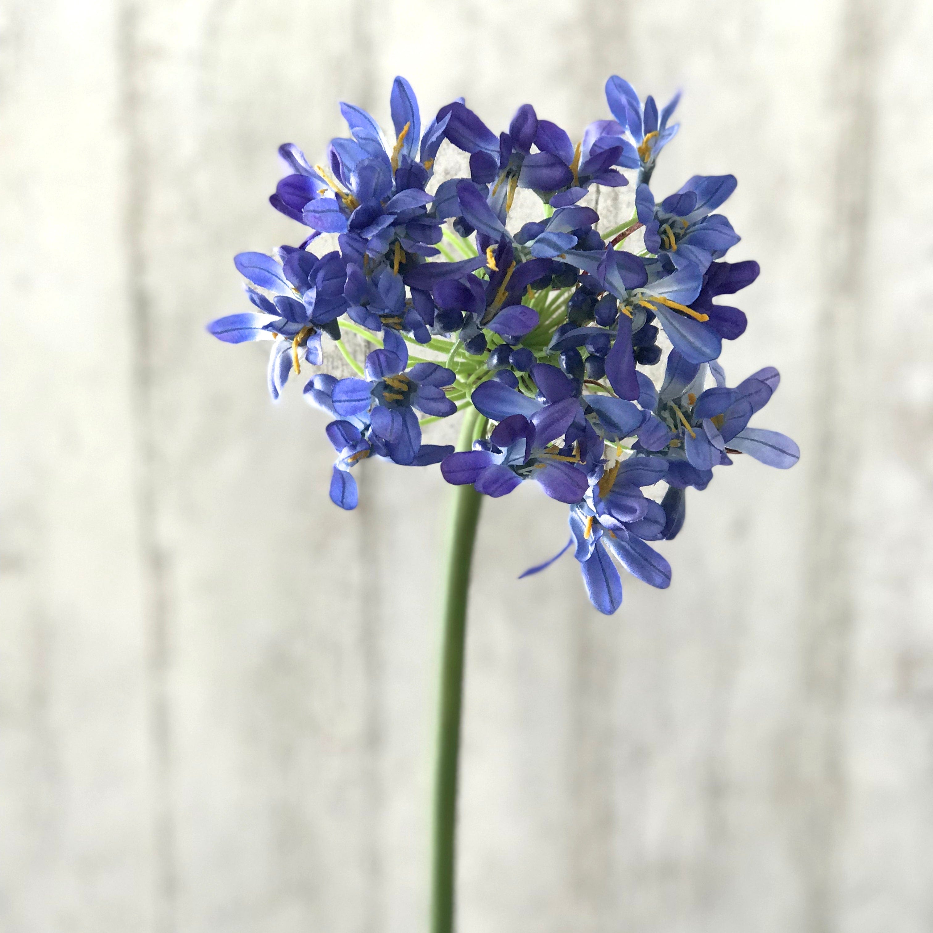 Artificial agapanthus, luxury faux silk blue agapanthus lifelike realistic faux flowers buy online from Amaranthine Blooms UK