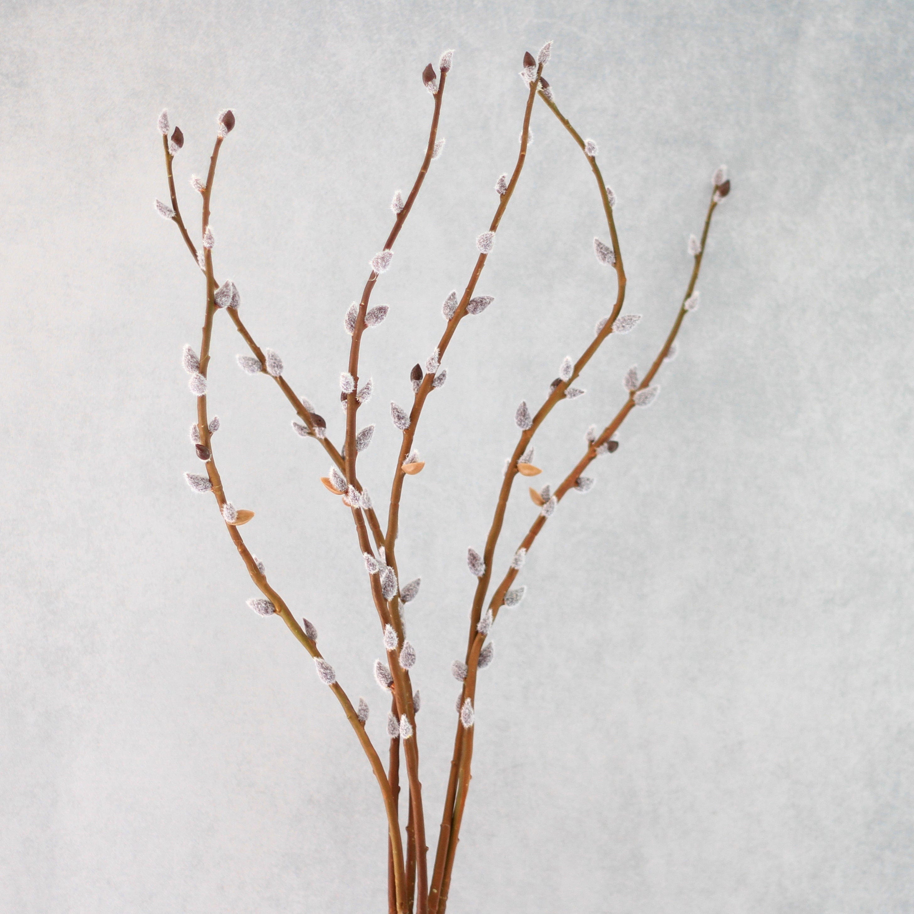 Artificial flowers luxury faux silk brown pussy willow branches lifelike realistic faux flowers buy online from Amaranthine Blooms UK 