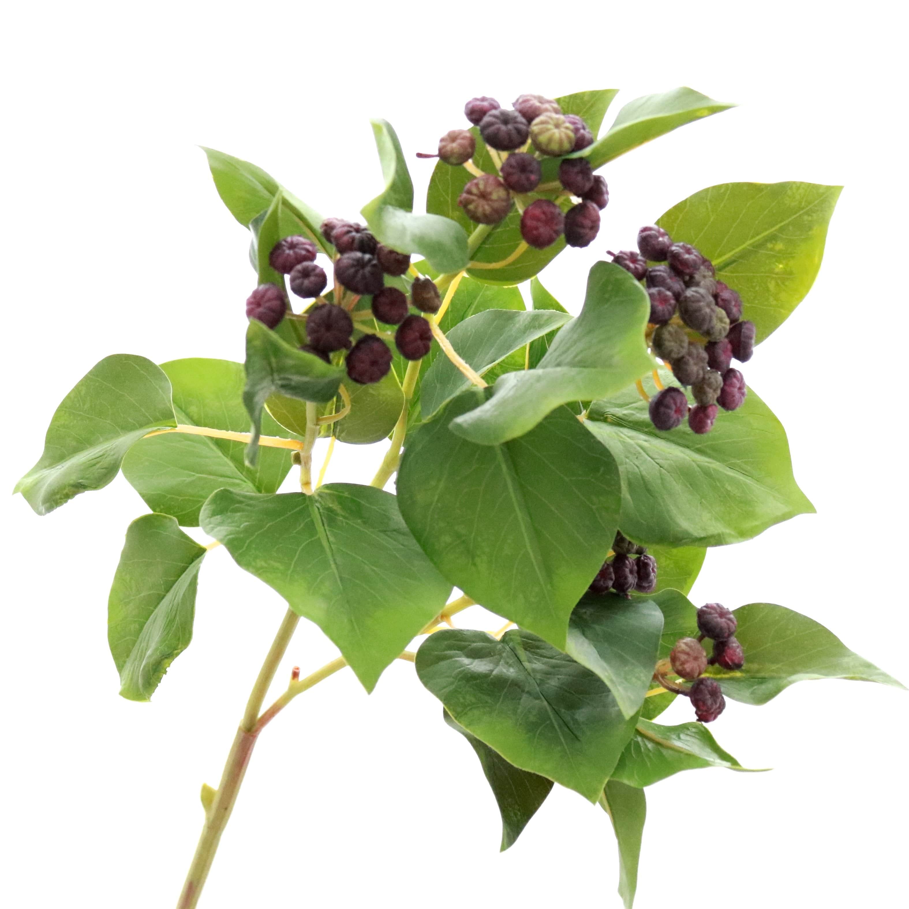 Artificial ivy with realistic purple berries, This faux ivy doesn't look like fake ivy with shiny leaves shaped just like real ivy