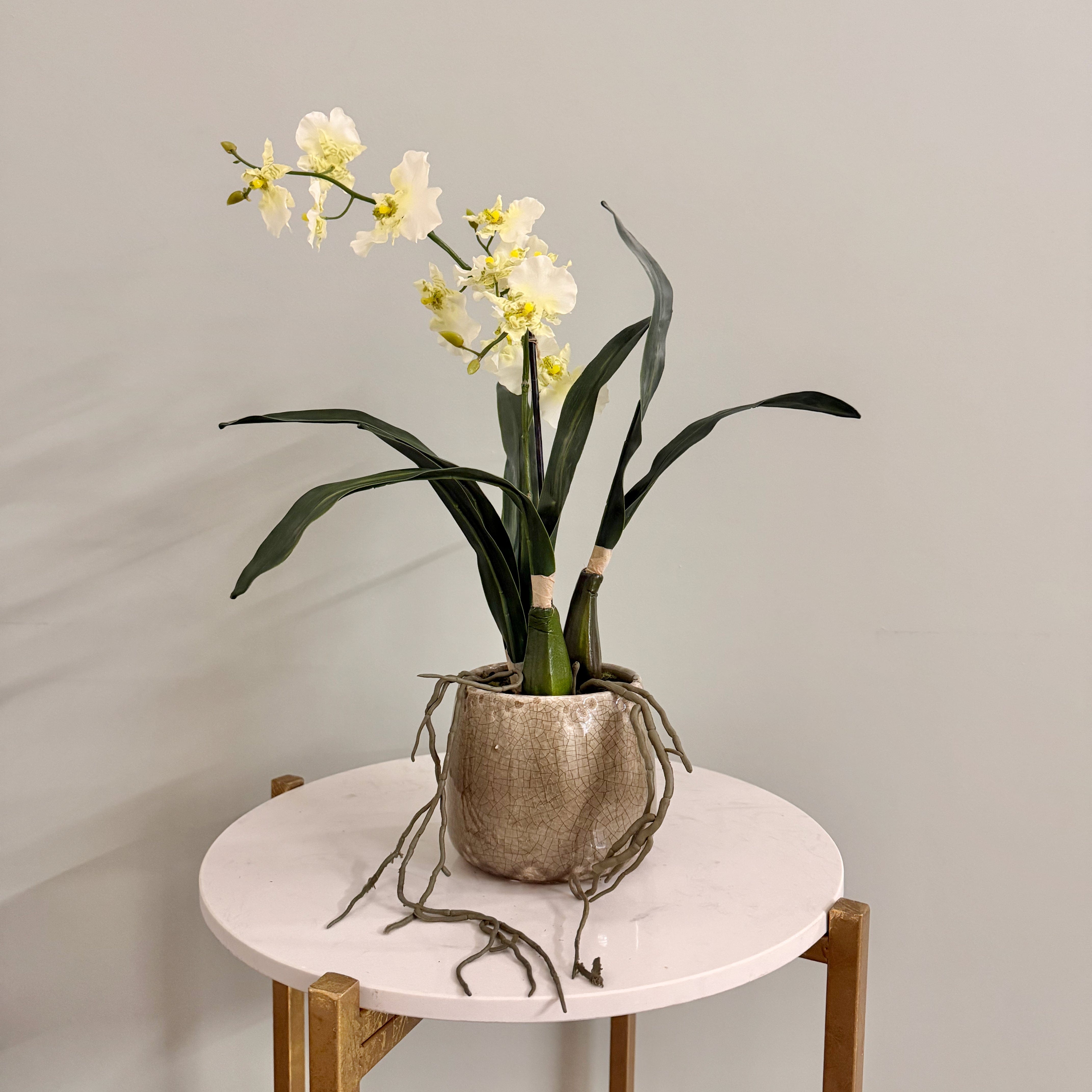 Artificial flowers luxury lifelike faux Artificial Dancing Orchid in Khaki Ceramic Pot realistic silk  buy online from The Faux Flower Company AHCH-2851
