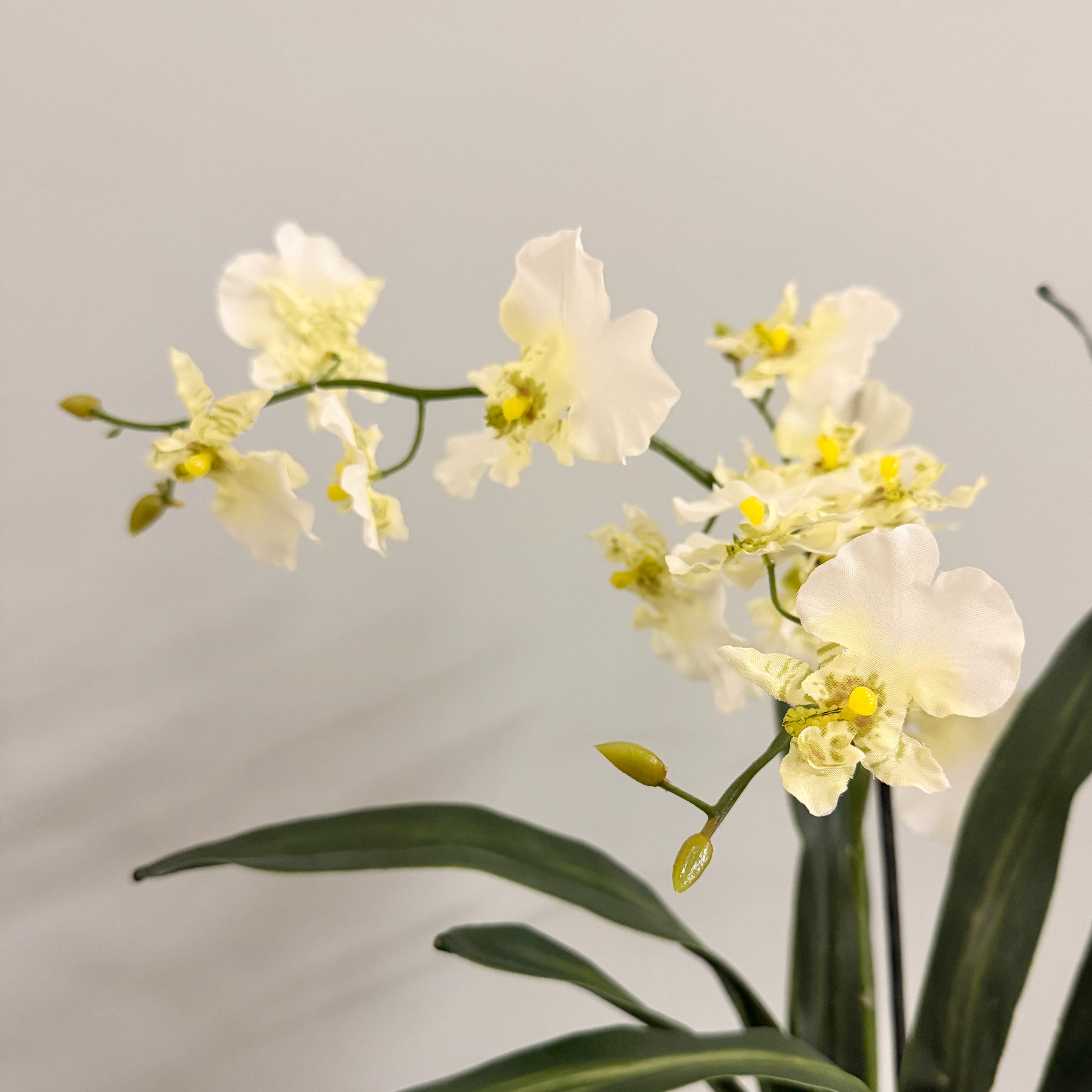 Artificial flowers luxury lifelike faux Artificial Dancing Orchid in Khaki Ceramic Pot realistic silk  buy online from The Faux Flower Company AHCH-2851