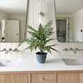 Realistic Artificial Green Bracken Fern in Dark Grey Pot AHCH-1422 by The Faux Flower Company