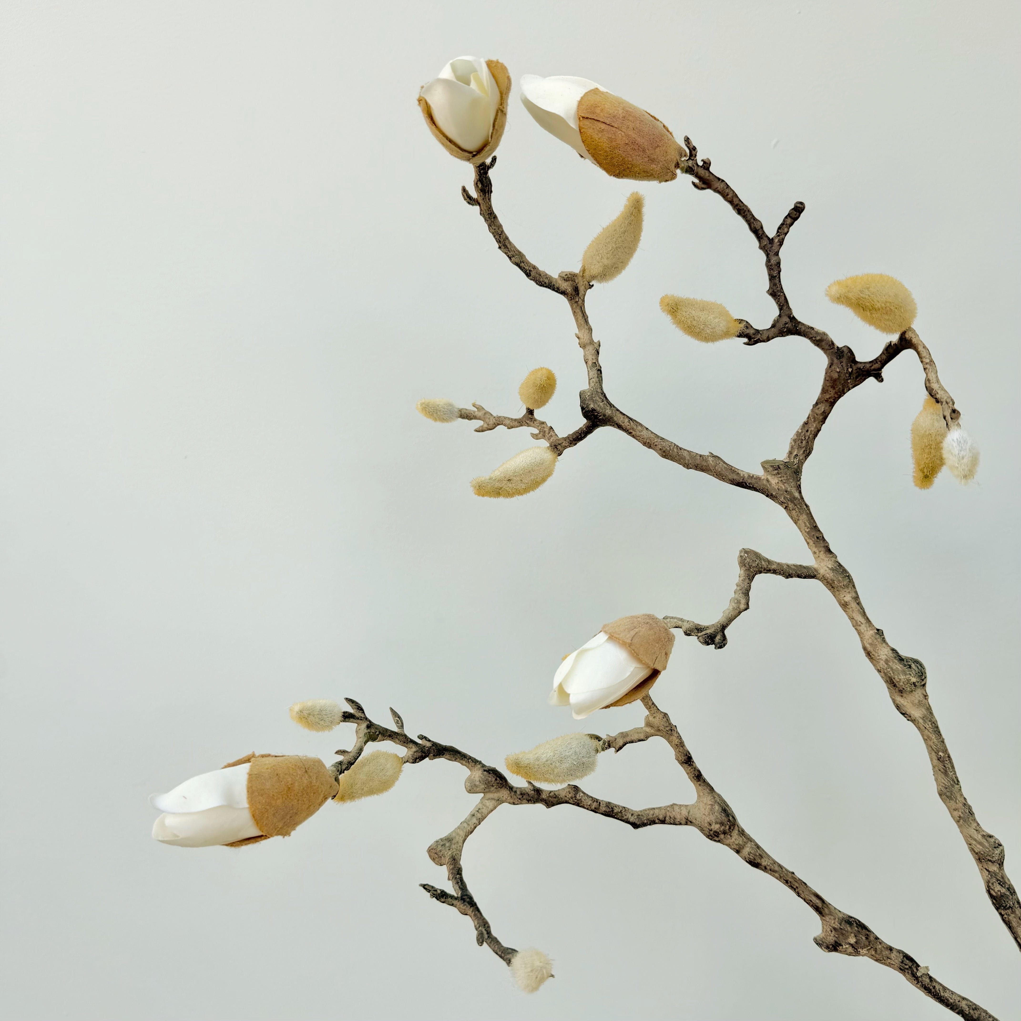 a.b.ellie MAGNOLIA STEM DROP 新A.B. ELLIE Magnolia Stem Drops 