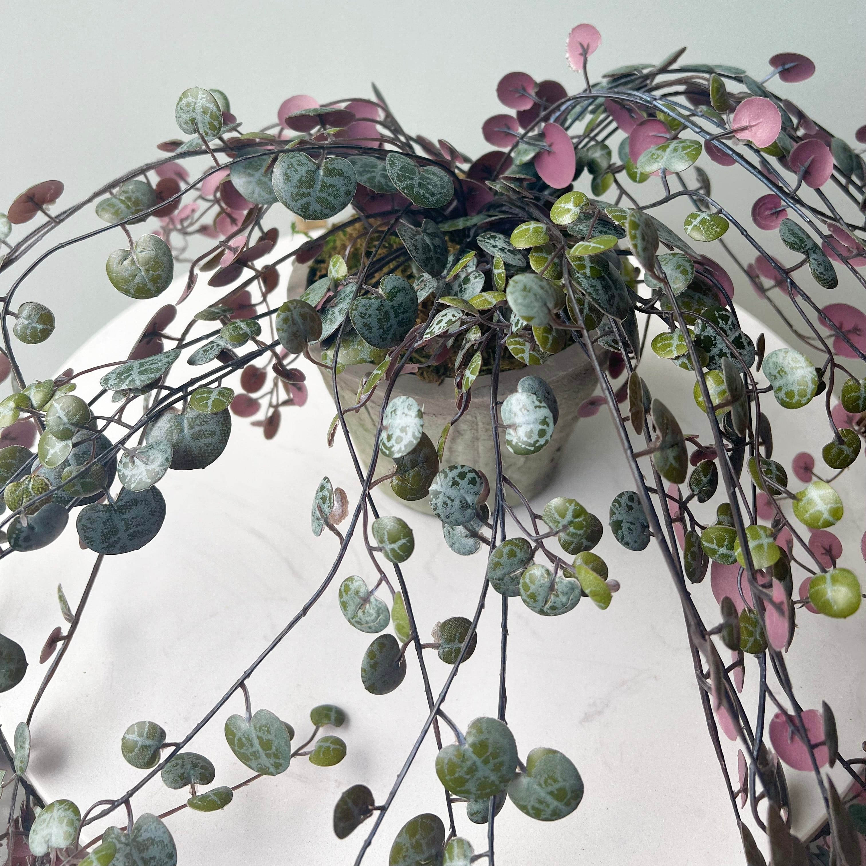 Artificial flowers luxury lifelike faux Artificial Purple Hanging Angel Vine Plant with Grey Cement Pot realistic silk  Plants buy online from The Faux Flower Company AHCH-0781