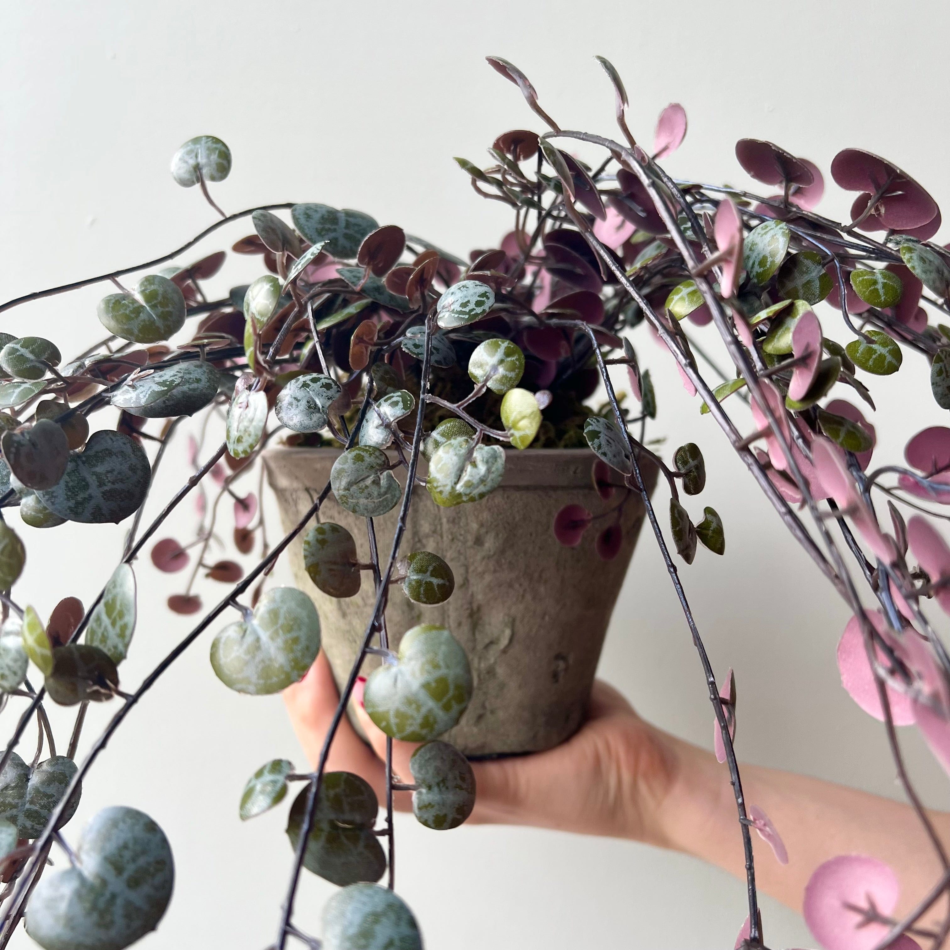 Artificial flowers luxury lifelike faux Artificial Purple Hanging Angel Vine Plant with Grey Cement Pot realistic silk  Plants buy online from The Faux Flower Company AHCH-0781