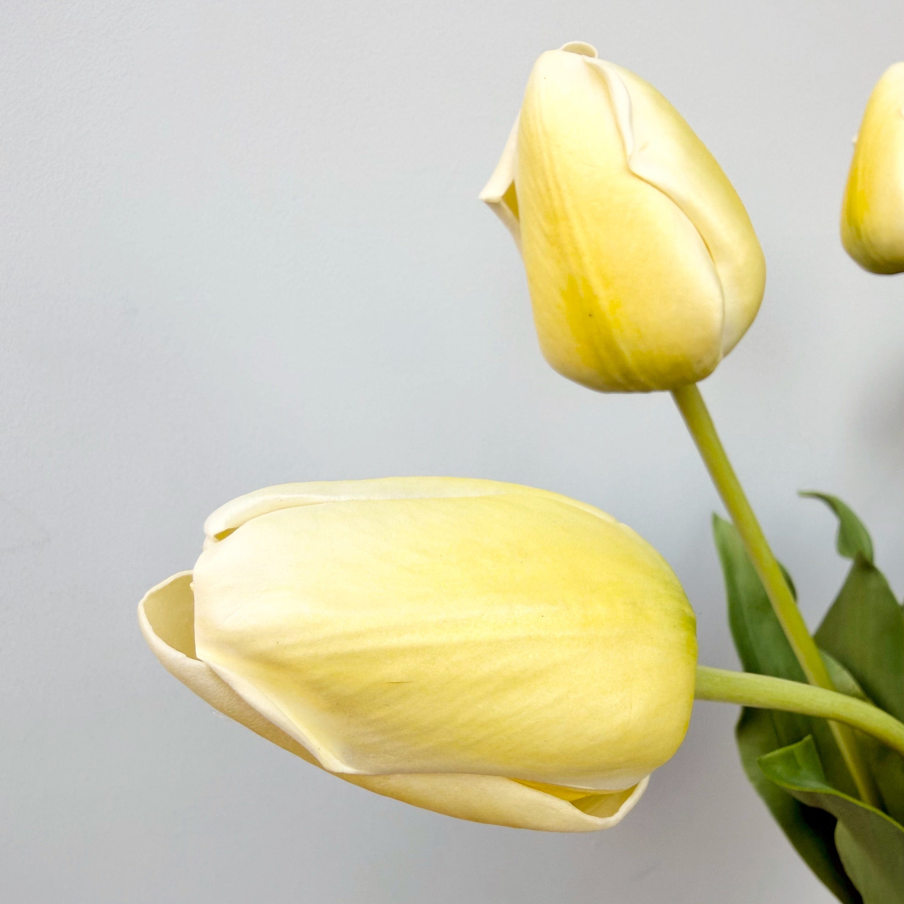 Artificial flowers luxury lifelike faux Artificial Yellow Tulip realistic silk  single stems buy online from The Faux Flower Company ABY5657YL