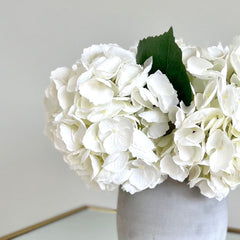Hydrangeas