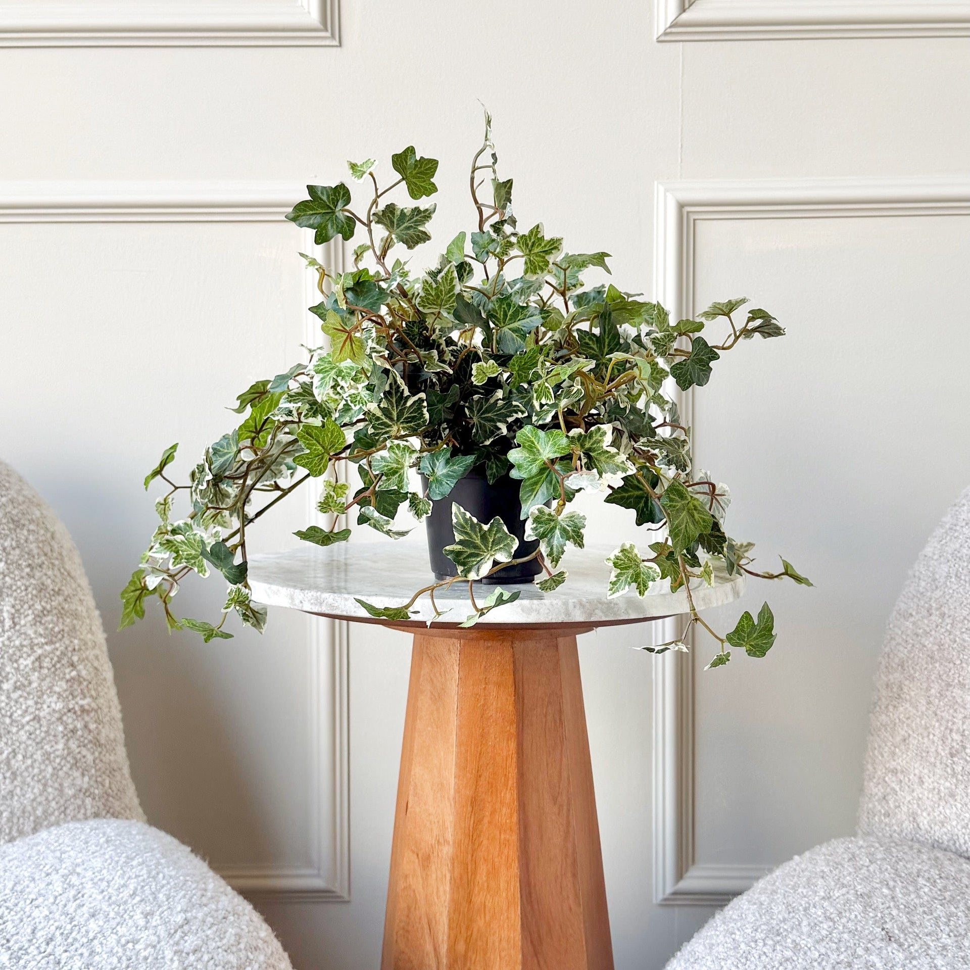 fake potted ivy plant Artificial Variegated Ivy Plant in Black Pot