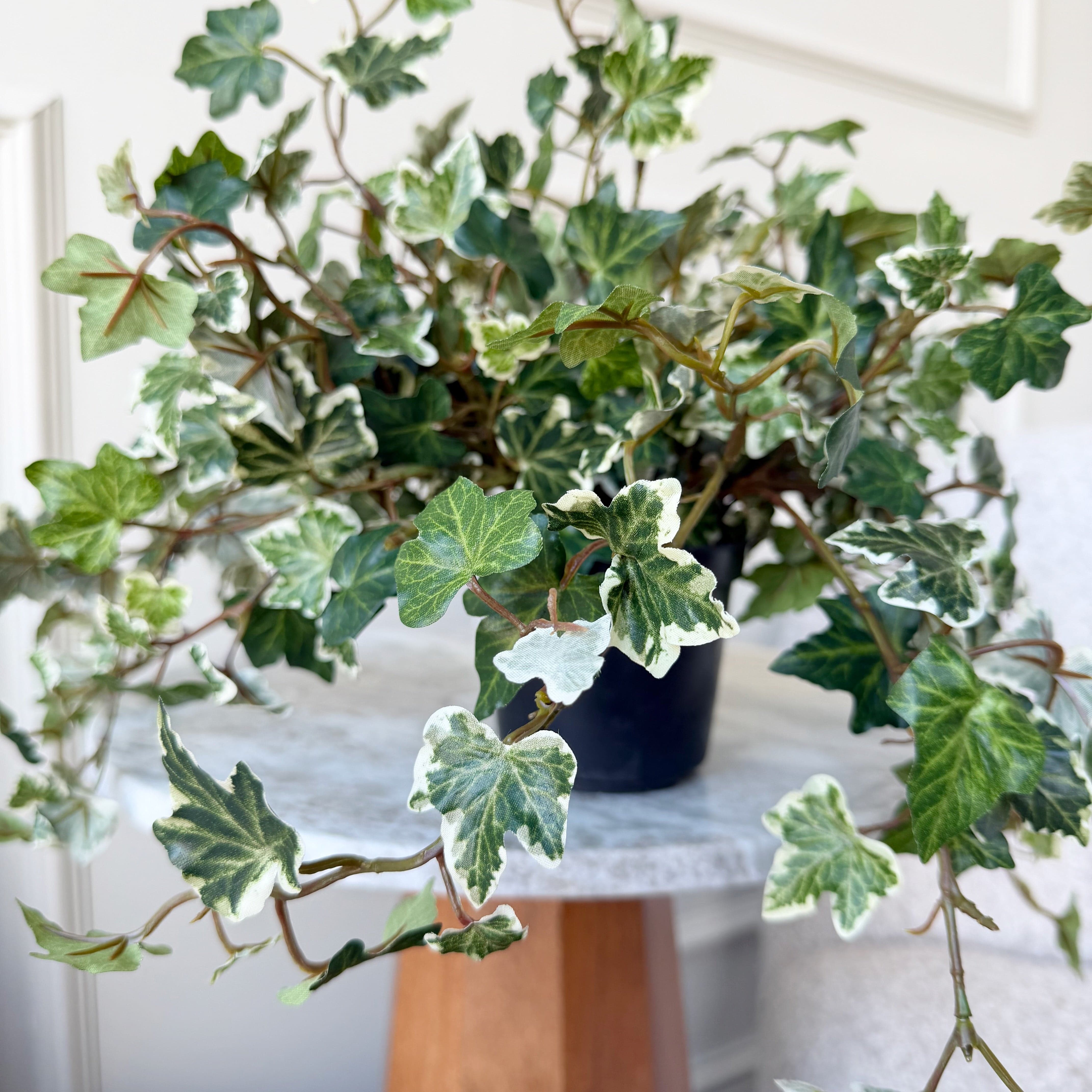 Realistic Artificial Green & White Ivy In Pot AHCH-2368 by The Faux Flower Company