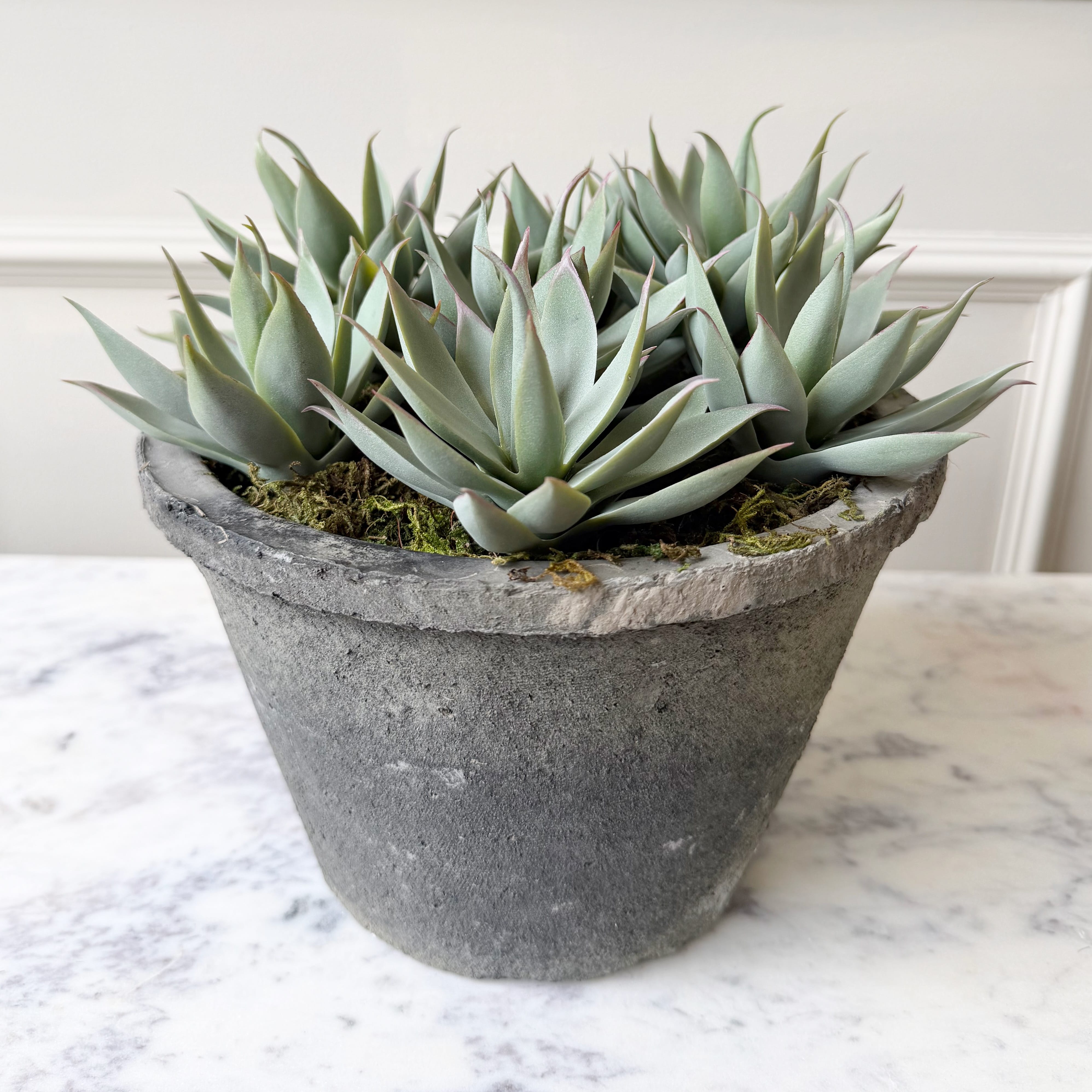 Artificial Large Succulents in Rustic Grey Pot