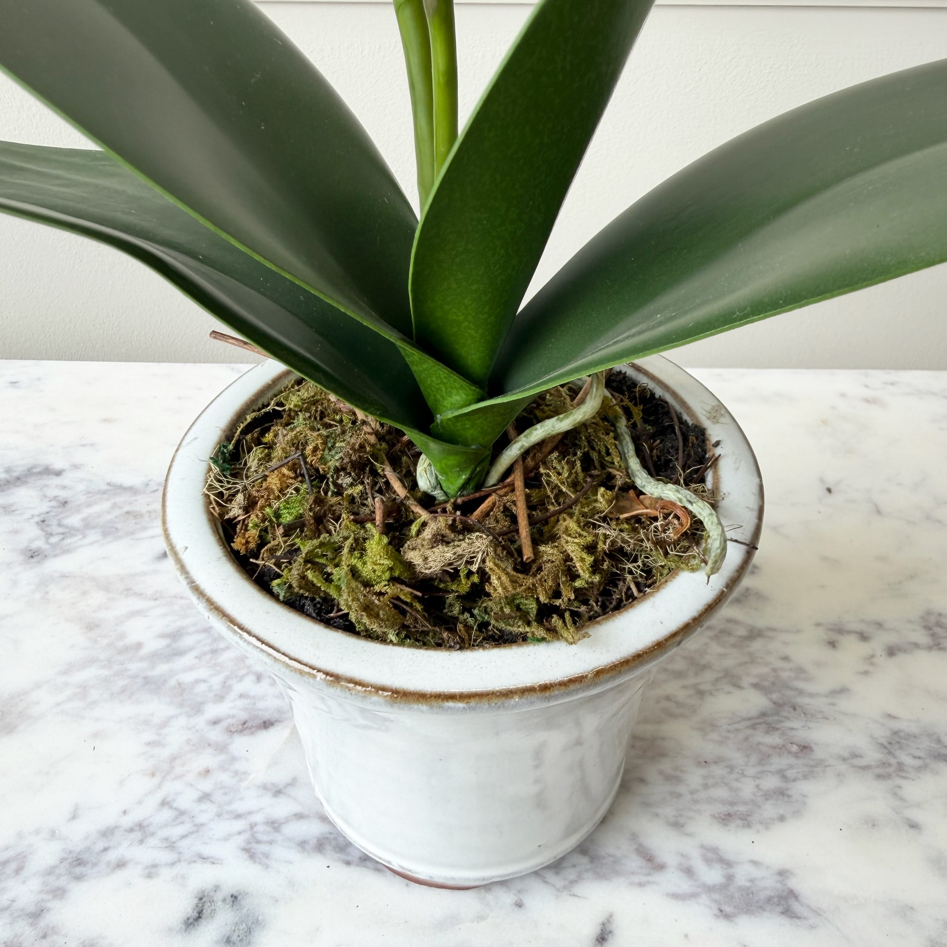 Realistic Artificial White Phalaenopsis Orchid in Ceramic Pot AHCH-1056 by The Faux Flower Company