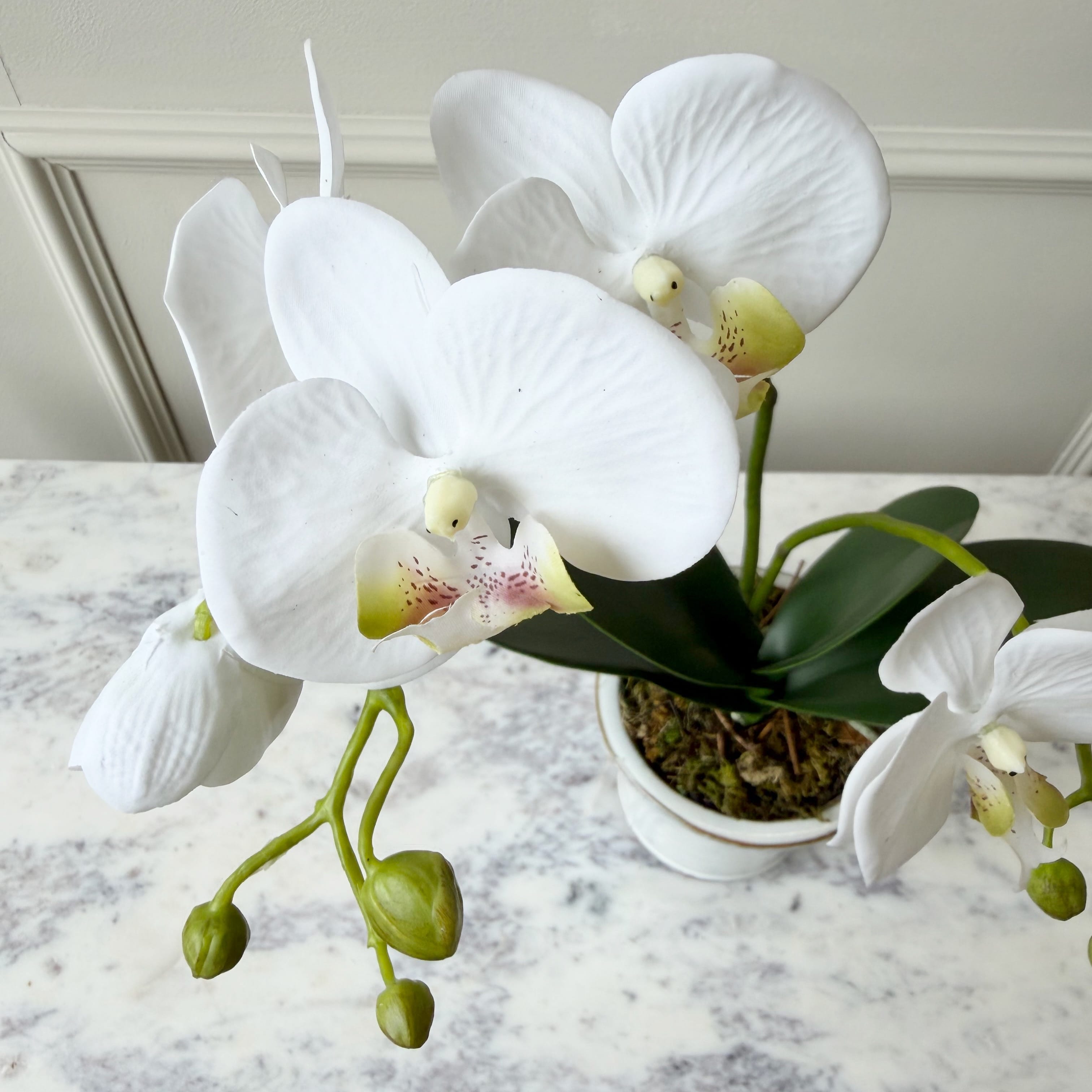 Realistic Artificial White Phalaenopsis Orchid in Ceramic Pot AHCH-1056 by The Faux Flower Company
