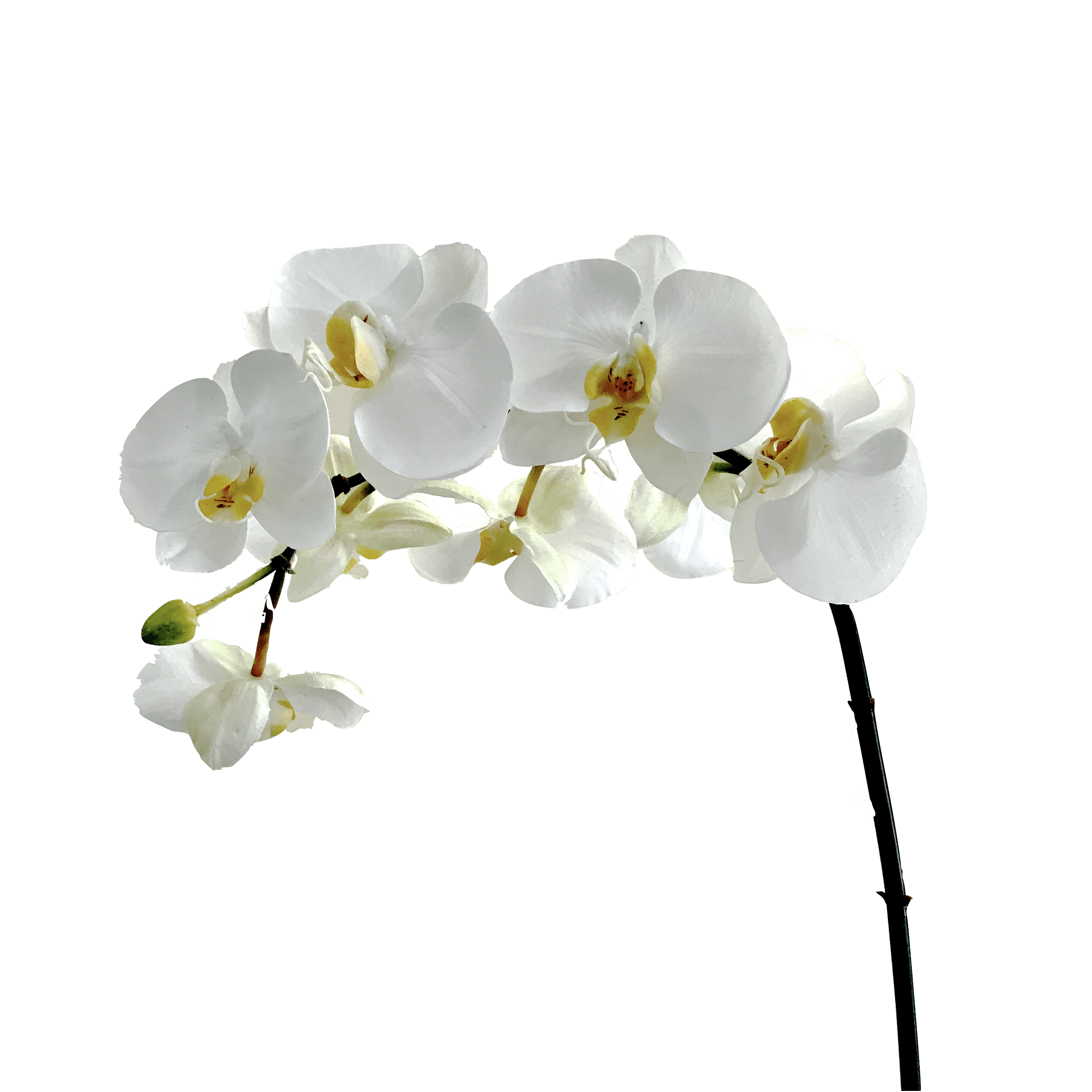 luxury artificial fake silk flowers white orcihd stem large flowers lifelike realistic faux flowers buy online from Amaranthine Blooms UK