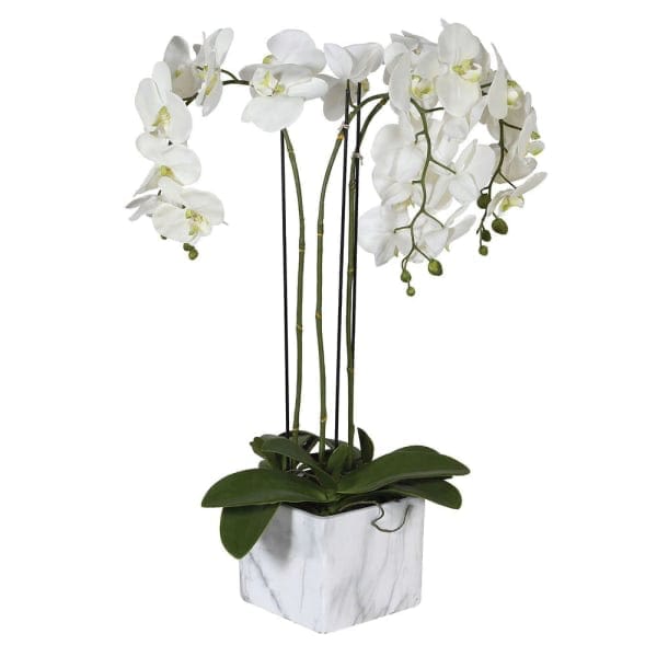This artificial orchid is the most realistic faux orchid in pot, a large silk orchid with white flowers from Amaranthine Blooms UK