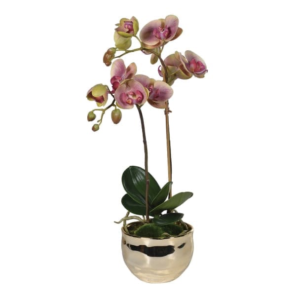 This artificial orchid is the most realistic faux orchid in pot, a small silk orchid with pink flowers from Amaranthine Blooms UK