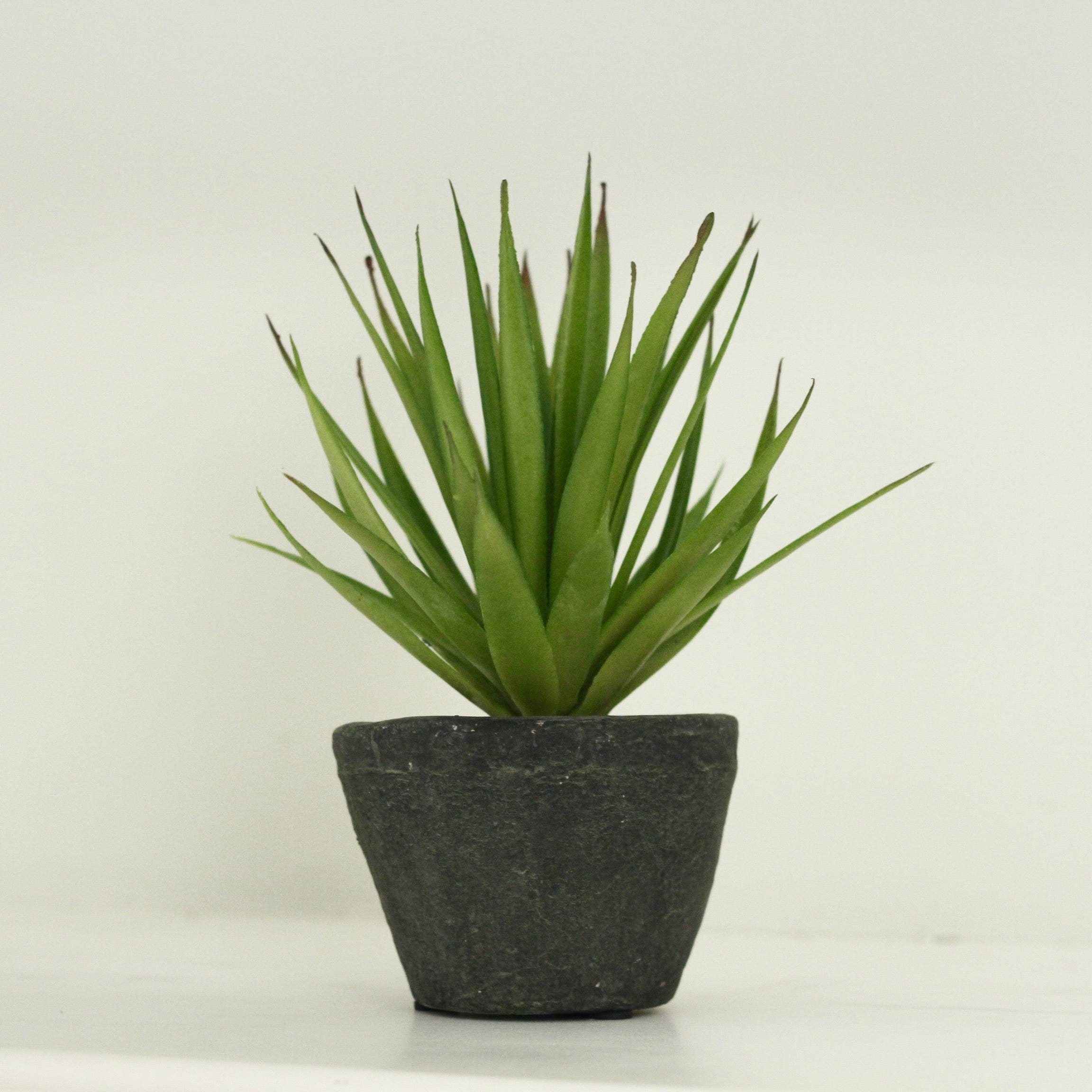 Artificial Plants Indoor Plants Green Artificial Airplant with Cement Pot Amaranthine Blooms UK