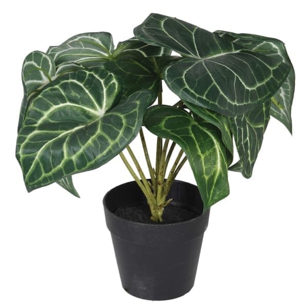 This artificial syngonium plant in pot is the most realistic artificial indoor plant in the UK, a perfect large artificial plant from Amaranthine Blooms UK