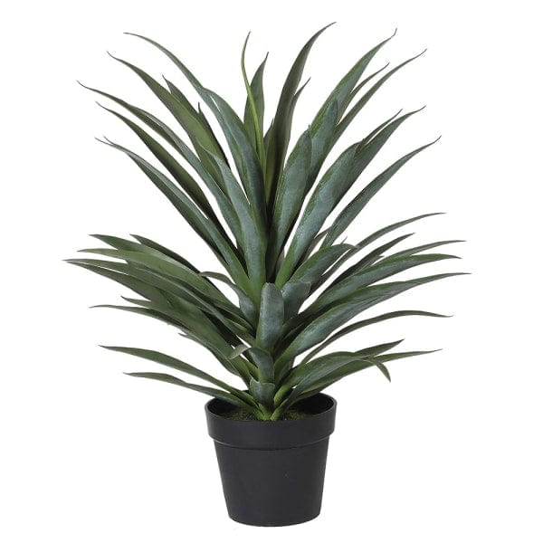 This artificial yucca plant in pot is the most realistic artificial indoor plant in the UK, a perfect small artificial plant from Amaranthine Blooms UK
