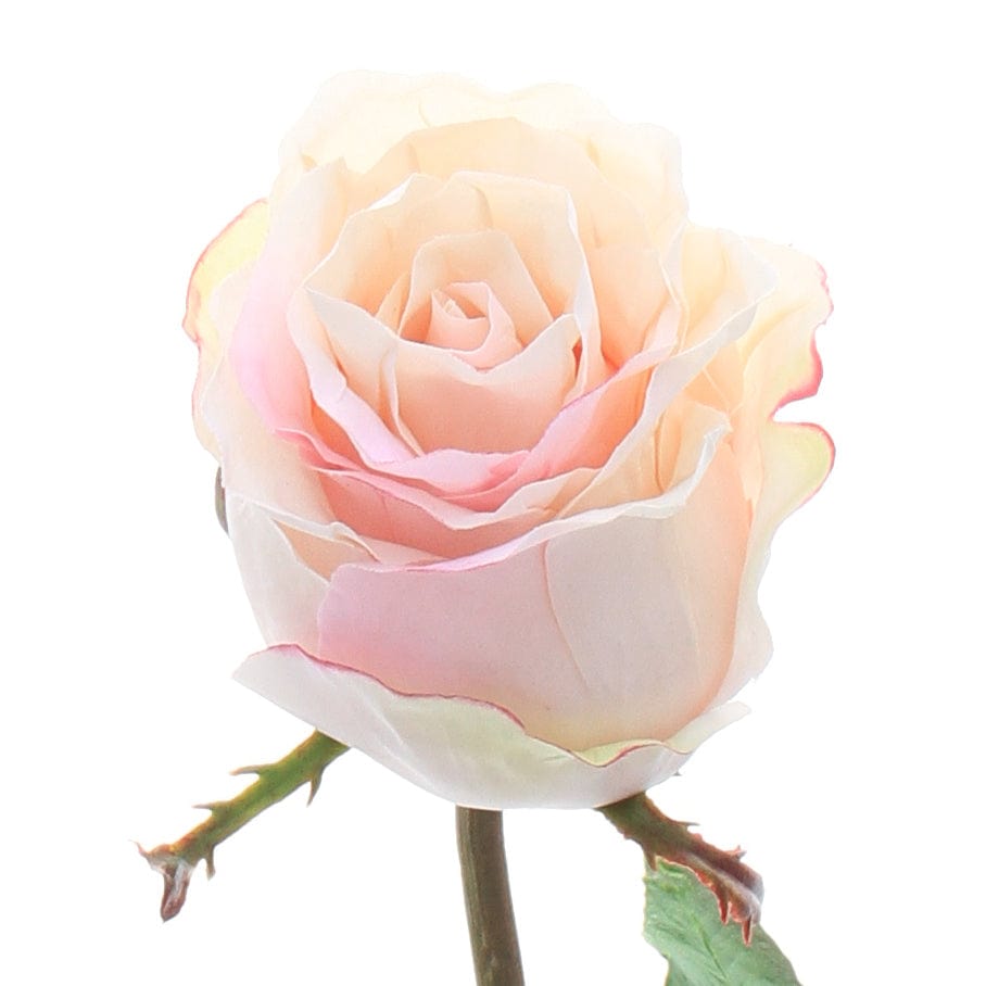 Artificial flowers luxury faux pale pink large rose bud lifelike realistic faux flowers buy online from Amaranthine Blooms UK