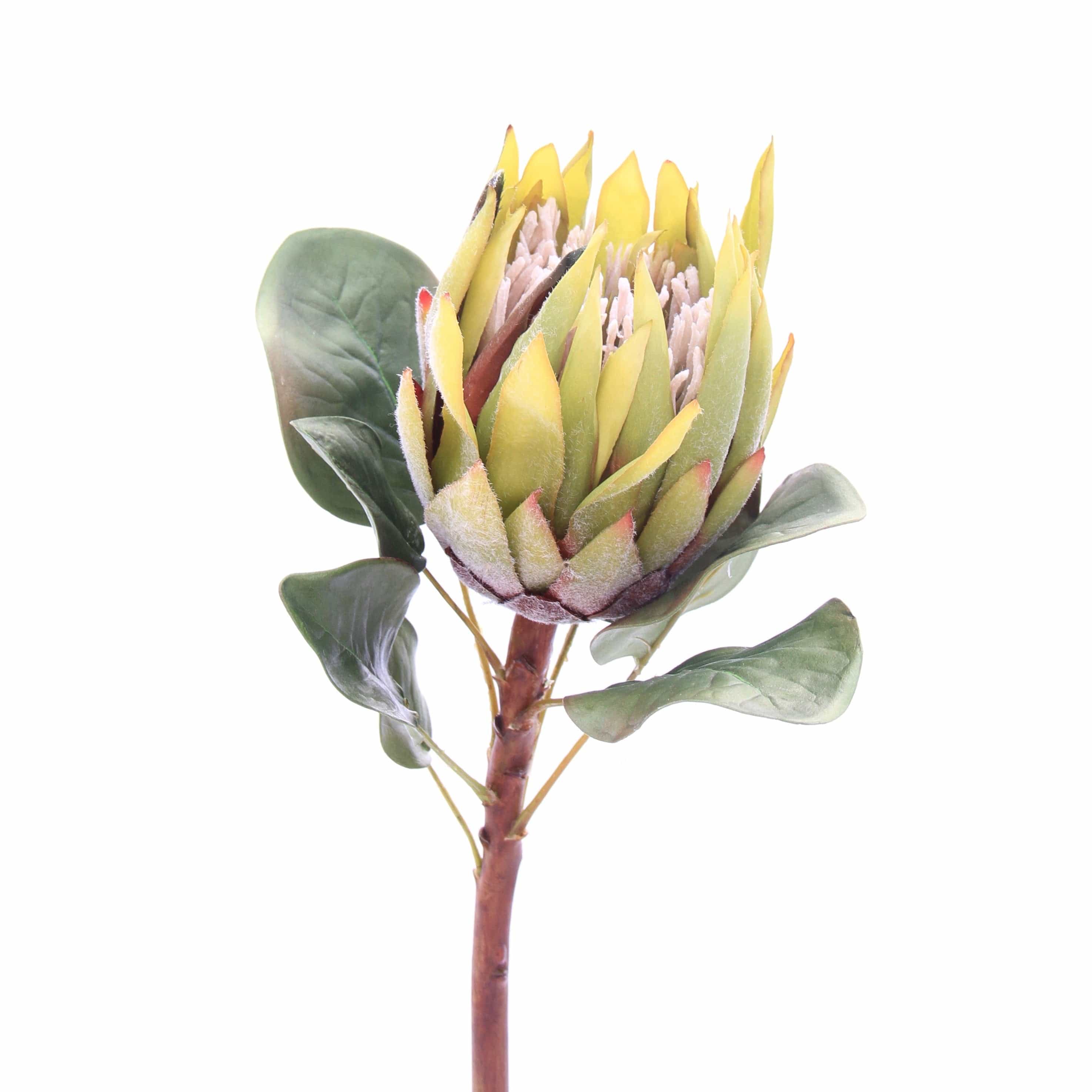 Artificial flowers luxury faux silk green and burgundy king protea lifelike realistic faux flowers buy online from Amaranthine Blooms UK 