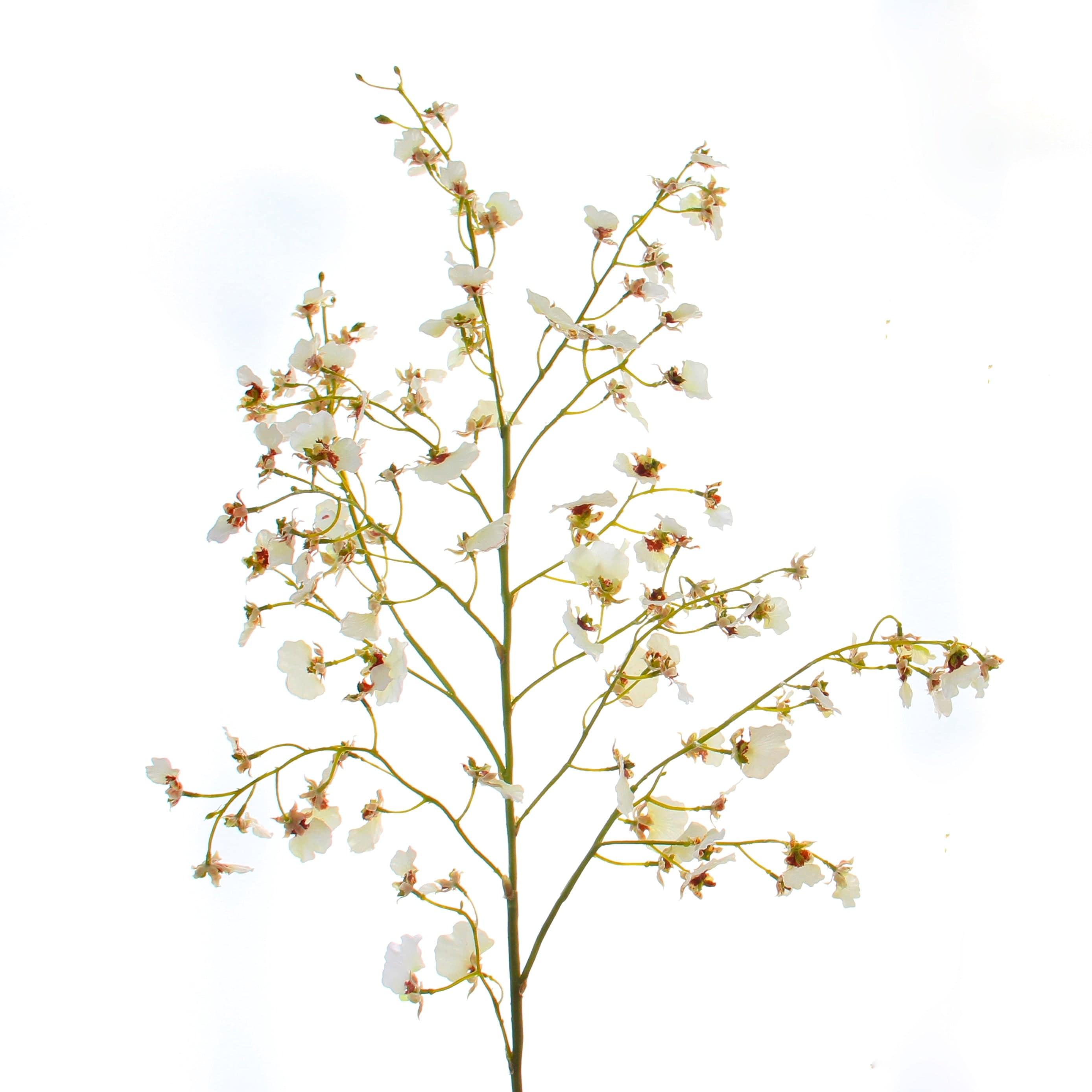Artificial flowers luxury faux silk white oncidium stem lifelike realistic faux flowers buy online from Amaranthine Blooms UK
