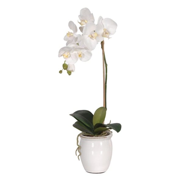 Artificial flowers luxury faux silk  small white phalaenopsis orchid with white pot lifelike realistic faux flowers buy online from Amaranthine Blooms UK