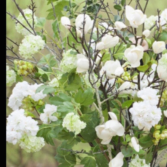 luxury artificial fake silk flowers green viburnum lifelike realistic faux flowers buy online from Amaranthine Blooms UK