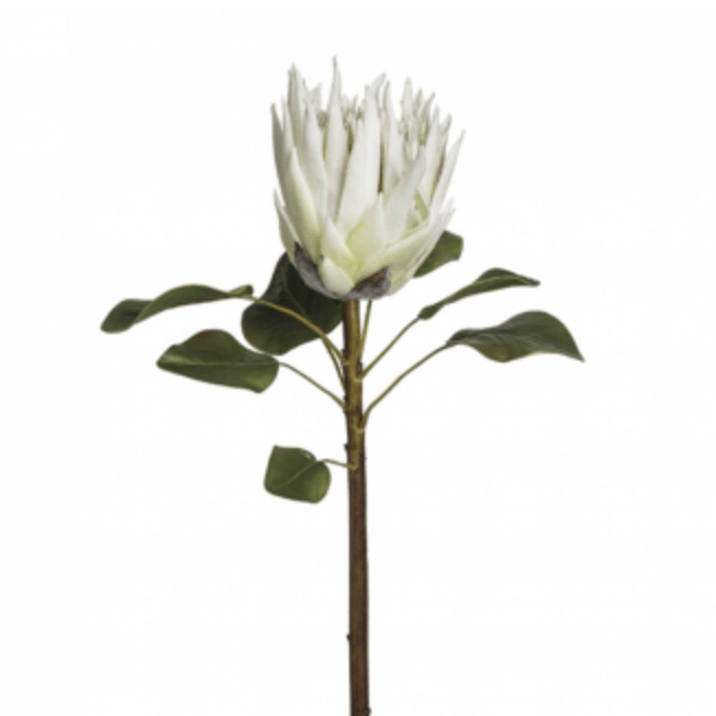 Artificial flowers luxury silk white king protea lifelike realistic faux flowers Amaranthine Blooms UK