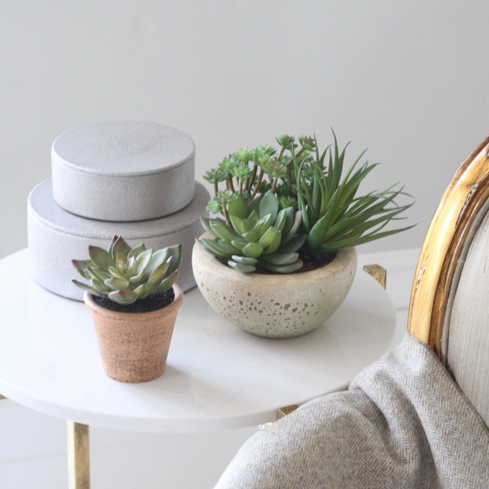 This artificial succulent plant in pot is the most realistic artificial indoor plant in the UK, a perfect small artificial plant from Amaranthine Blooms UK