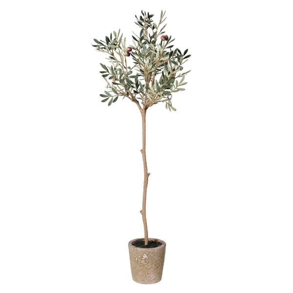 Realistic Artificial Olive Tree in Clay Pot AHCH-1822 by The Faux Flower Company