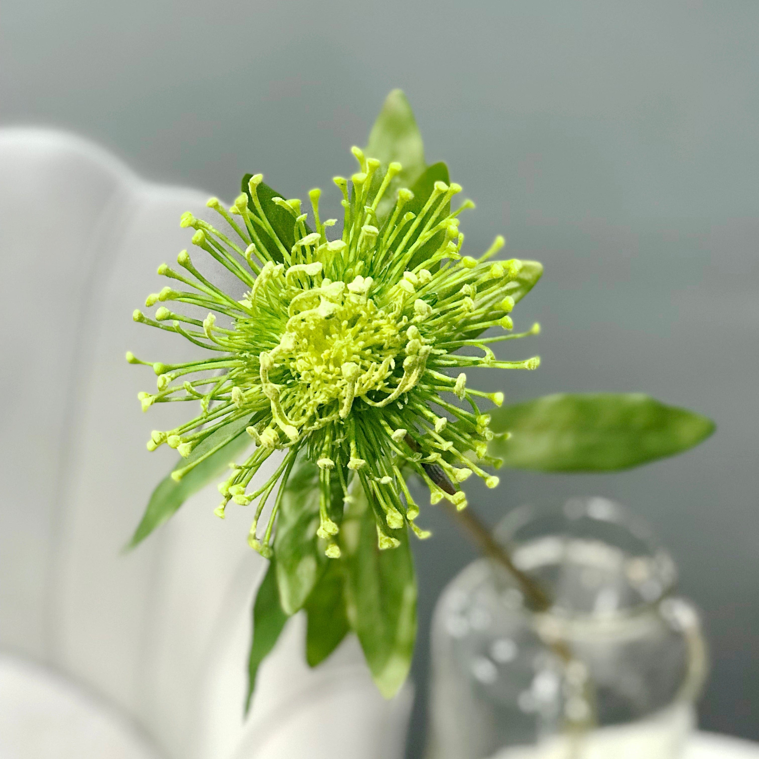 artificial flowers luxury faux silk green pincushion protea lifelike realistic faux flowers buy online from Amaranthine Blooms UK