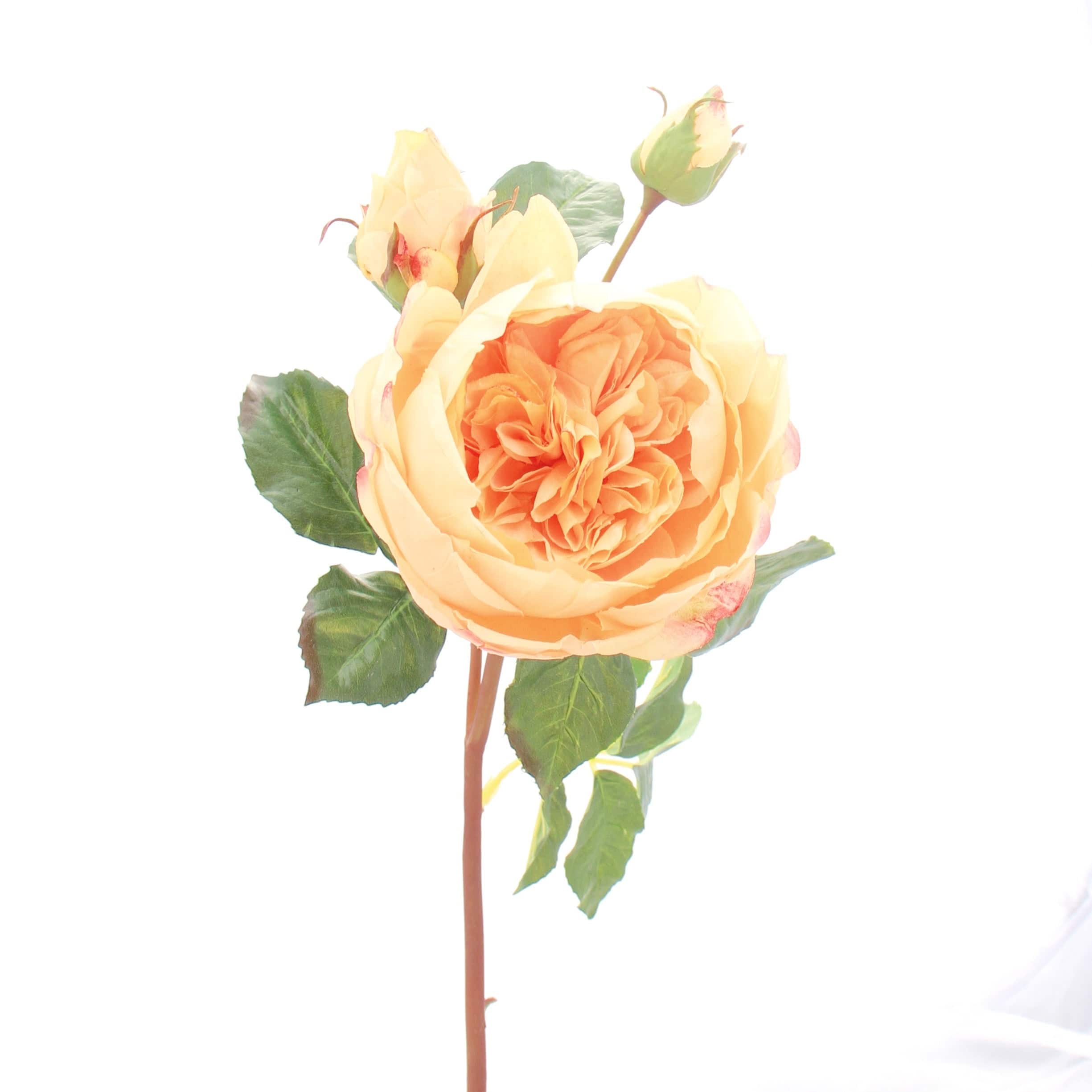 Peach artificial flowers luxury faux silk peach english rose lifelike realistic faux flowers buy online from Amaranthine Blooms UK