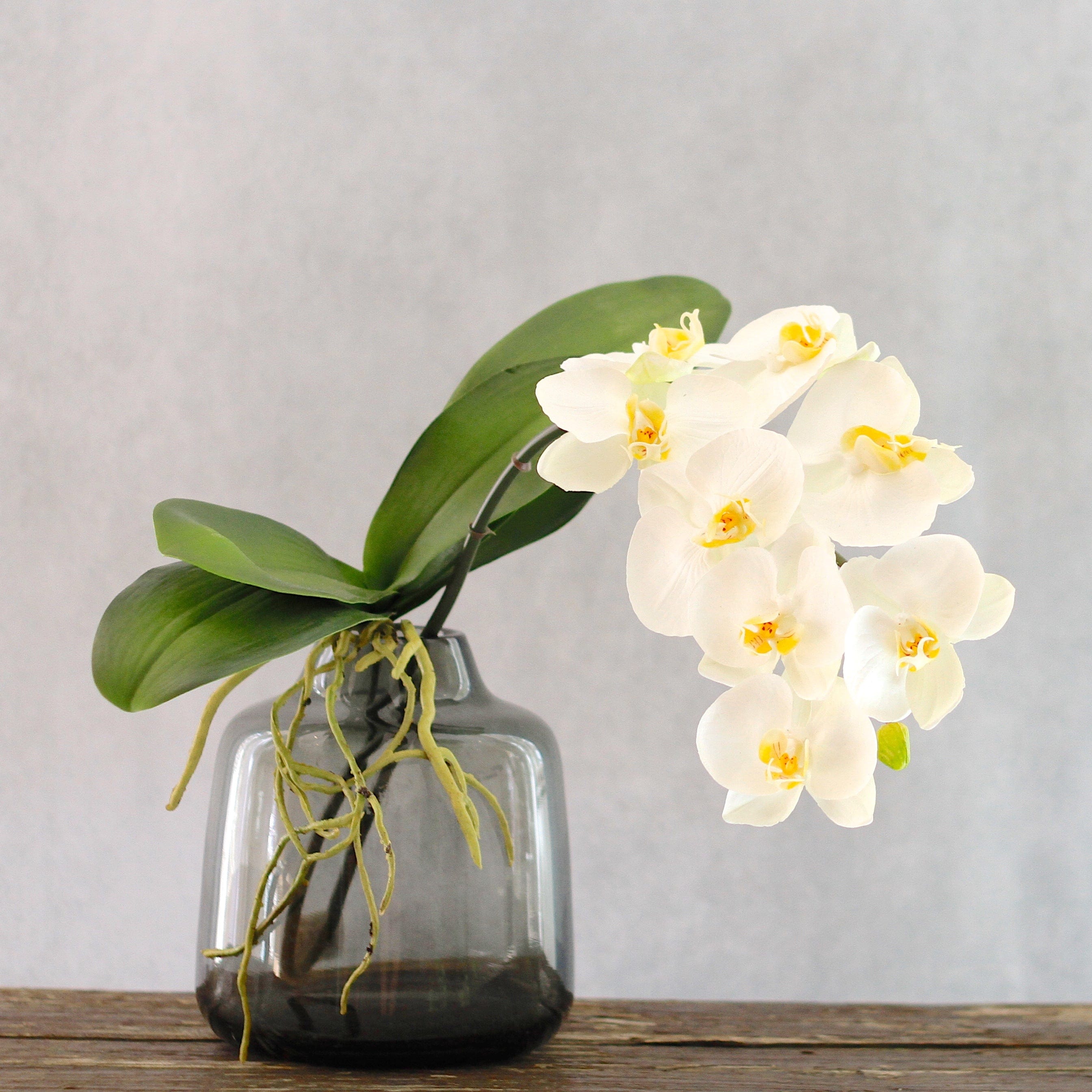 luxury artificial fake silk flowers white phalaenopsis stem lifelike realistic faux flowers buy online from Amaranthine Blooms UK