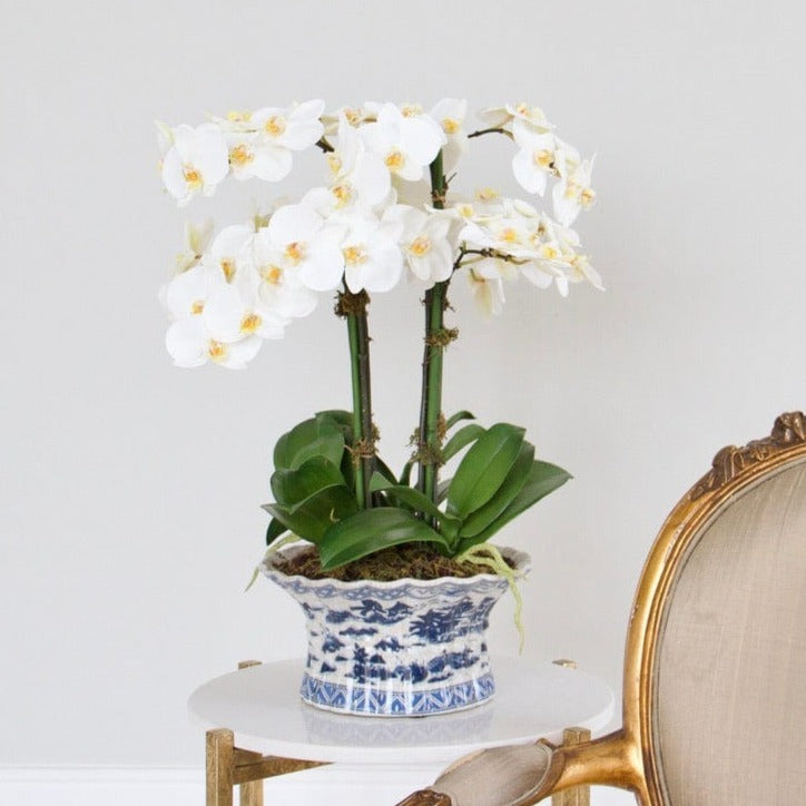 artificial flowers luxury faux silk white phalaenopsis orchid plant lifelike realistic faux flowers buy online from Amaranthine Blooms UK ABY2061WH