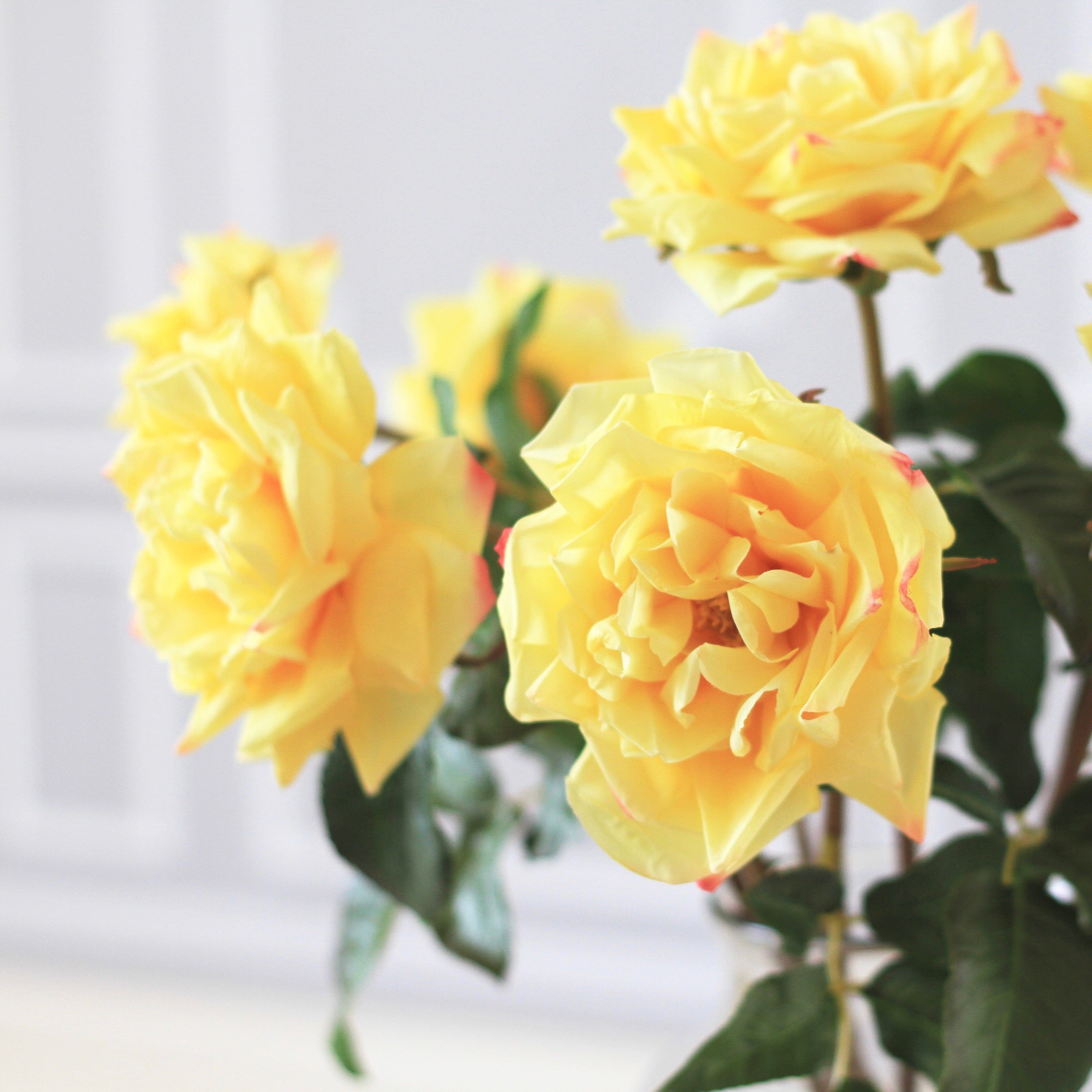 artificial roses  luxury faux yellow garden rose lifelike realistic faux flowers buy online from Amaranthine Blooms UK 